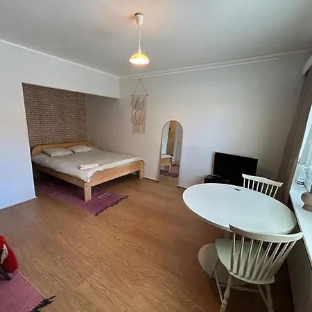 Studio Near The Center Jyväskylä